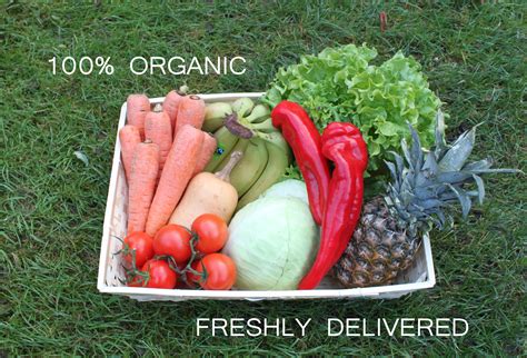 best organic vegetables online|5 Online Delivery Services for Fresh Organic Vegetables in the PH.